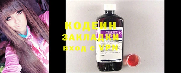 шишки Алзамай