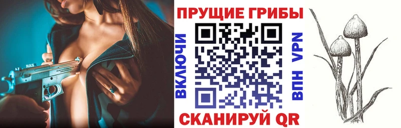 Галлюциногенные грибы мицелий  MEGA рабочий сайт  Бологое  цены  